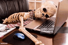 a skeleton is laying on a desk with a laptop computer .