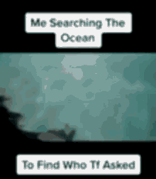 Who Tf Asked Ocean GIF - Who Tf Asked Ocean Me GIFs