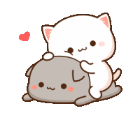 a white cat is sitting on top of a grey cat with a heart in the background