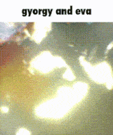 Gyorgy And Eva Pop'N Music GIF - Gyorgy And Eva Pop'N Music GIFs