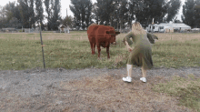Cow Dancing GIF - Cow Dancing Happy GIFs