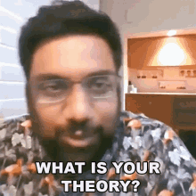 what is your theory manan desai comedy talk show what is your analysis whats your logic