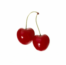 Cherry GIF