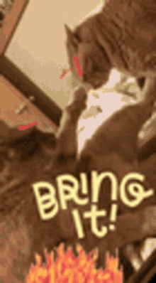 Bring It On Fight Me GIF