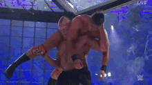 Brock Lesnar Theory GIF