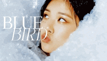 a close up of a woman 's face with the words blue bird on the bottom
