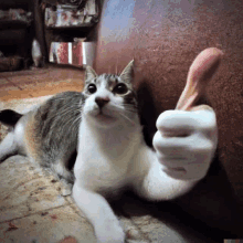 a cat is giving a thumbs up sign while laying on the floor