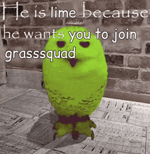 a green owl with the words he is lime because he wants you to join grasssquad above it