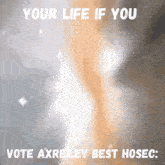 Vote Axreiley Best Hosec Bloxton GIF - Vote Axreiley Best Hosec Axreiley Bloxton GIFs