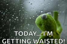 kermit the frog looking out a window with the words today i 'm getting waisted written below him