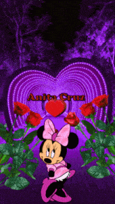 a picture of minnie mouse with roses and a heart with the name anita cruz on it