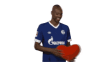 naldo s04 schalke bundesliga football