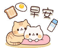 Couple Cute Sticker - Couple Cute Good Morning Stickers