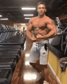 Adam Charlton Muscle GIF - Adam Charlton Muscle Flex GIFs