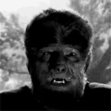 The Wolf GIF - The Wolf Man GIFs