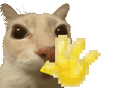 a cat is eating a piece of food with a pixelated hand behind it
