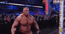 Brock Lesnar GIF - Brock Lesnar Wwe GIFs