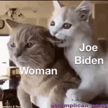 Joe Biden Biden2020 GIF - Joe Biden Biden2020 Biden GIFs