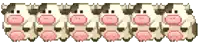 a row of cows with pink noses are lined up on a white background