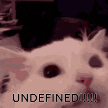 Undefined Cat GIF - Undefined Cat Hyper GIFs