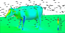 cow airflow diagram vectors aerodynamics