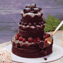 a chocolate cake with cherries and chocolate shavings on it
