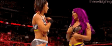 two women with purple hair are standing next to each other in a wrestling ring and smiling .