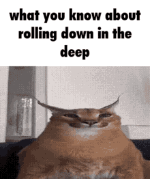 What You Know About Rolling Down In The Deep Astronaut In The Ocean GIF - What You Know About Rolling Down In The Deep Rolling Down In The Deep Astronaut In The Ocean GIFs