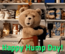 Hum Day Bear GIF - Hum Day Bear Happy Hump Day GIFs