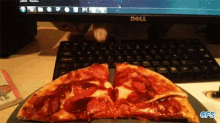 Cat Pizza GIF - Cat Pizza Sneaky GIFs