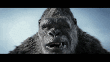 Kong Godzilla X Kong The New Empire GIF