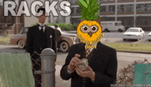 Pineowl Pineowl Meme GIF