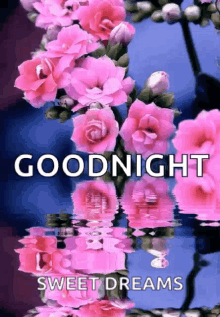Goodnight Flowers GIF