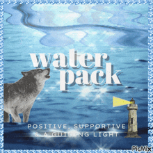 Water Pack Wolfgang GIF - Water Pack Wolfgang Wolfgang Welcome GIFs