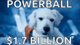 a picture of a white dog with the words powerball $ 1.7 billion