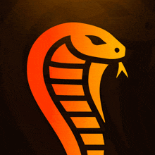 a yellow and orange snake with a black background