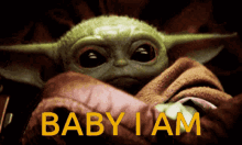 Baby Yoda Baby I Am GIF - Baby Yoda Baby I Am Star Wars GIFs
