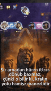 a screen shot of a video game with a lion on the screen