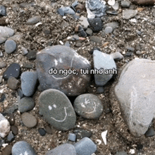 a pile of rocks with a smiley face drawn on one