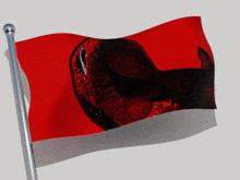 a red and white flag with a black image of a hand on it