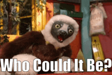 Zoboomafoo Who Could It Be GIF - Zoboomafoo Who Could It Be Who Could That Be GIFs