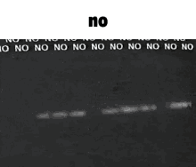 No Nono GIF - No Nono No No No No No GIFs