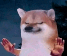 a dog with its eyes closed is making a funny face with its hands outstretched .
