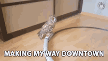 Making My Way Downtown On The Way GIF - Making My Way Downtown On The Way A Thousand Miles GIFs