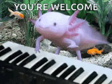 Axolotl Keyboard GIF - Axolotl Keyboard Happy GIFs