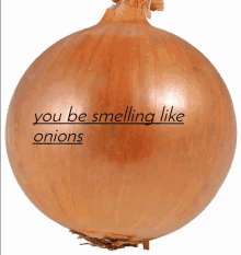 You Smell Like Onions GIF - You Smell Like Onions GIFs