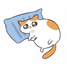 cat cry sad cat pillow cat