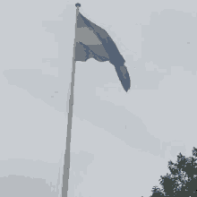 bicentenario bandera