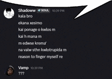 a screenshot of a conversation between shadow and vamp