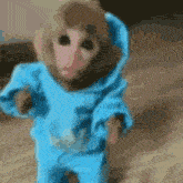 Pipa Monkey GIF - Pipa Monkey Shipopo GIFs